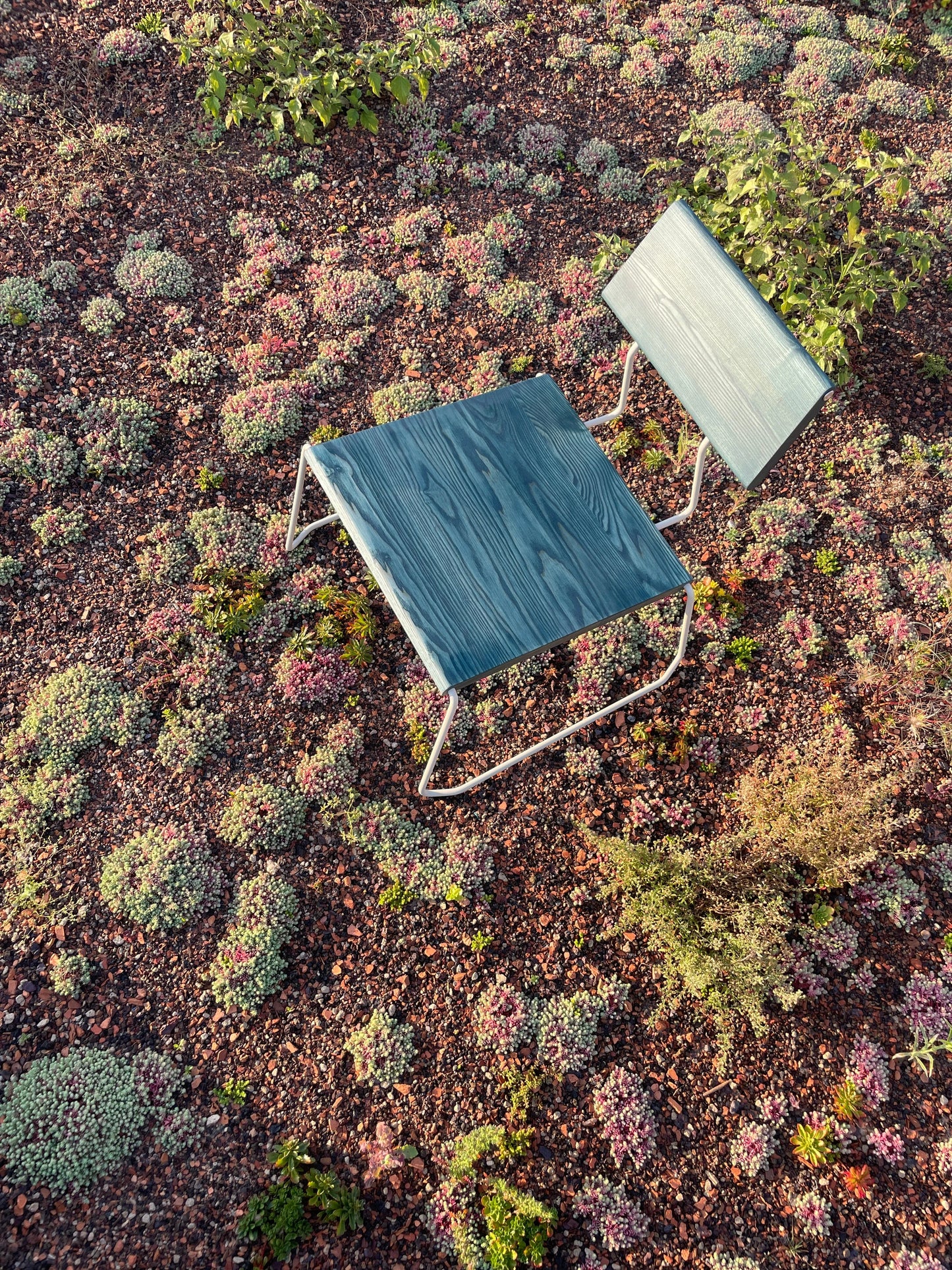D:007 LOUNGECHAIR